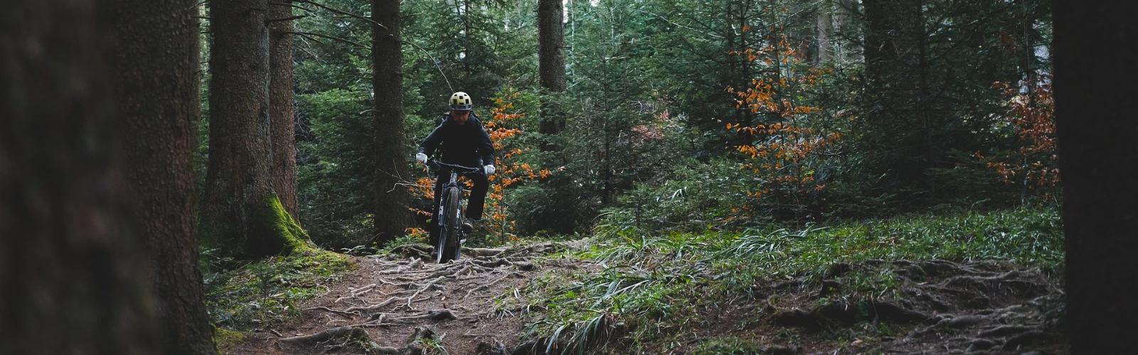 Winnetka on Two Wheels: Biking Adventures