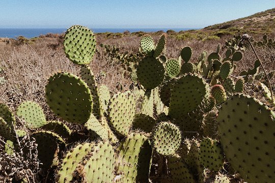 Tour image 11
