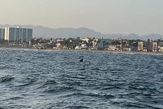 Tour image 5